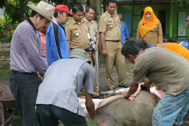 Sistem Pembayaran Hewan Qurban Ala SMAN 4 Pekanbaru